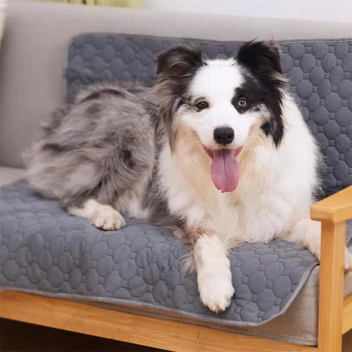 Reusable Dog Pee Pad – Waterproof Training Mat