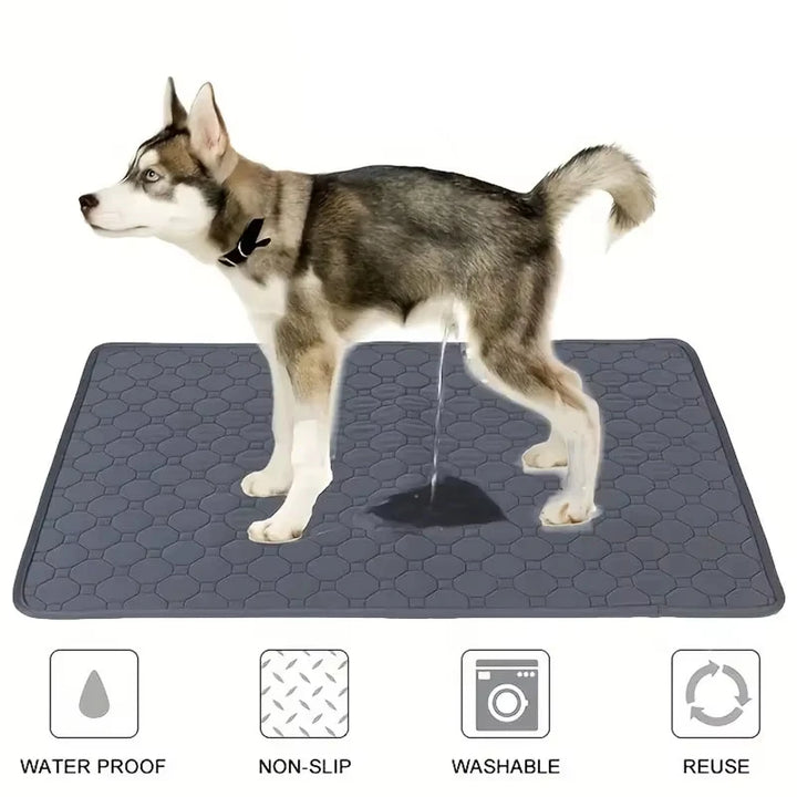 Reusable Dog Pee Pad – Waterproof Training Mat